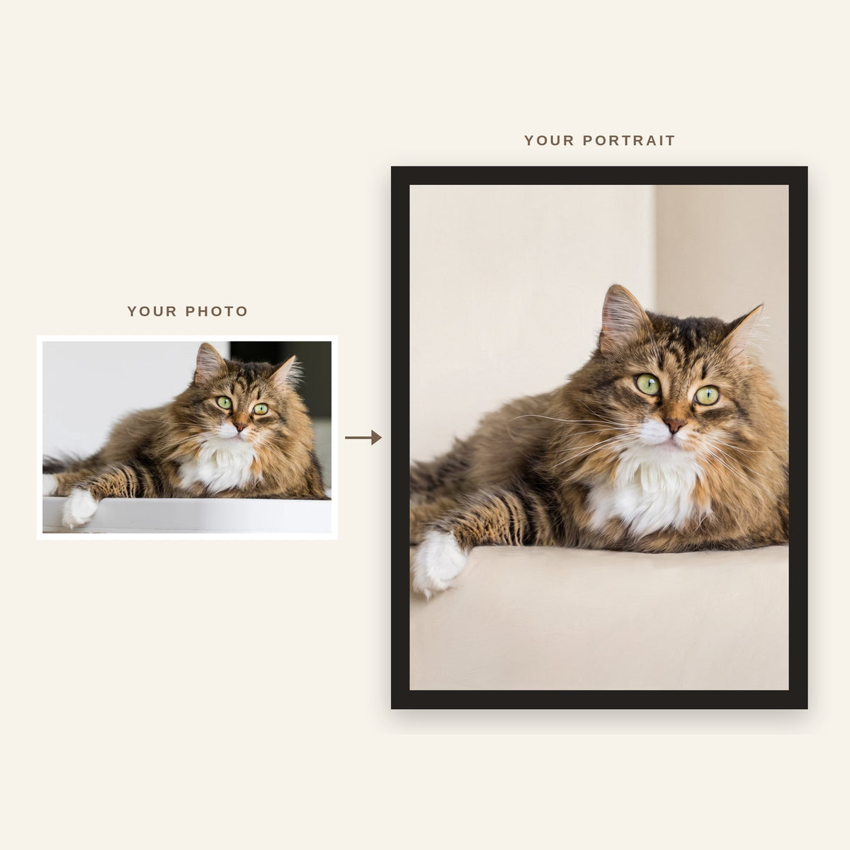 Before and after: original photo of a tabby cat and its Animelier portrait