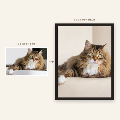 Before and after: original photo of a tabby cat and its Animelier portrait