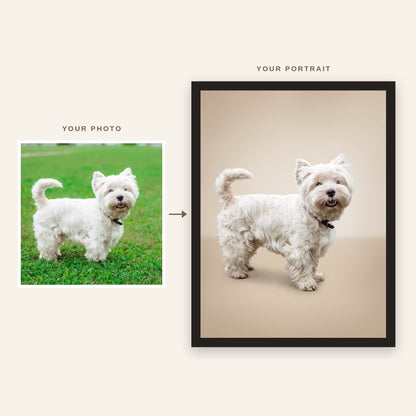 Before and after: original photo of a small white dog and its Animelier portrait